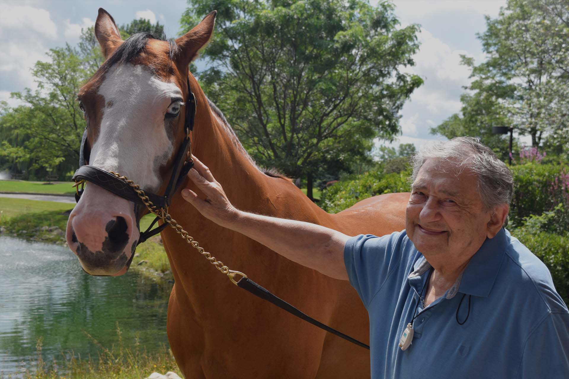 Jewish Home Impact - Elderly Man with Horse